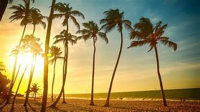 Making the Most of Summer Vacations: Learning, Growth, and New Opportunities