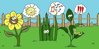 Can Plants Talk to Each Other? The Secret Conversations of Nature