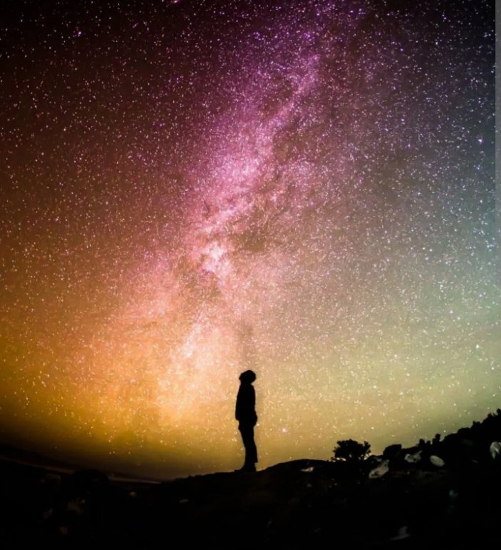 Beyond Certificates: Why Curiosity Matters More Than Credentials