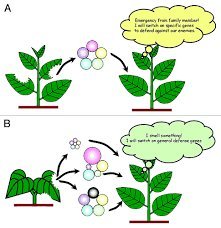 Can Plants Talk to Each Other? The Secret Conversations of Nature image