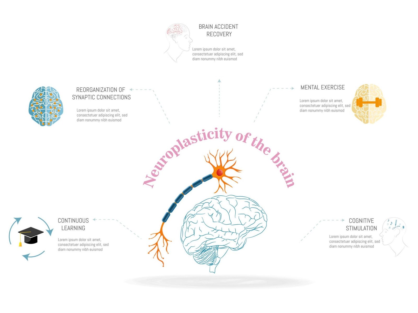 Breaking the Summer Slump: The Neuroscience of Building Better Vacation Habits