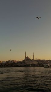 Fehmida Narjis Hassan
