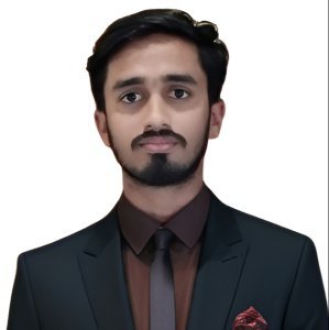 Ameer Hamza