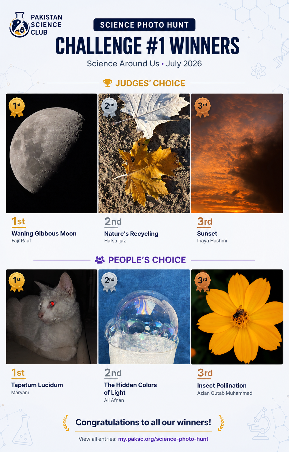 Science Photo Hunt Challenge #1 — Results Are Here!