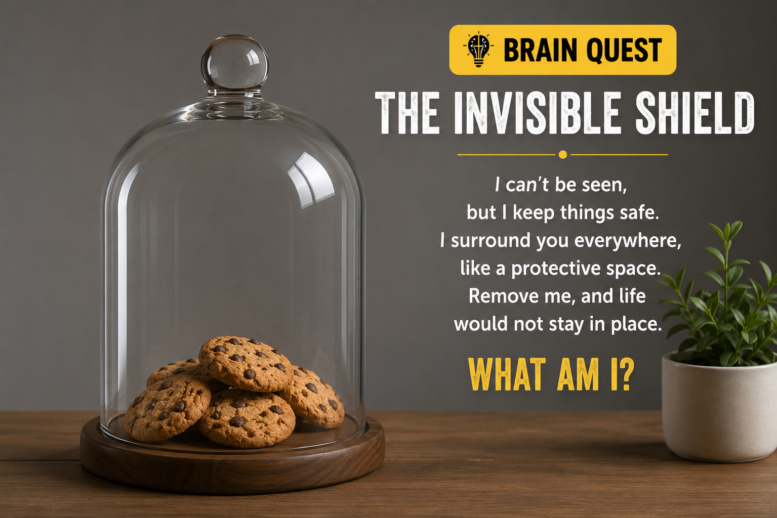 The Invisible Shield