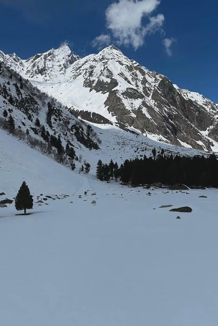 Frozen Giants