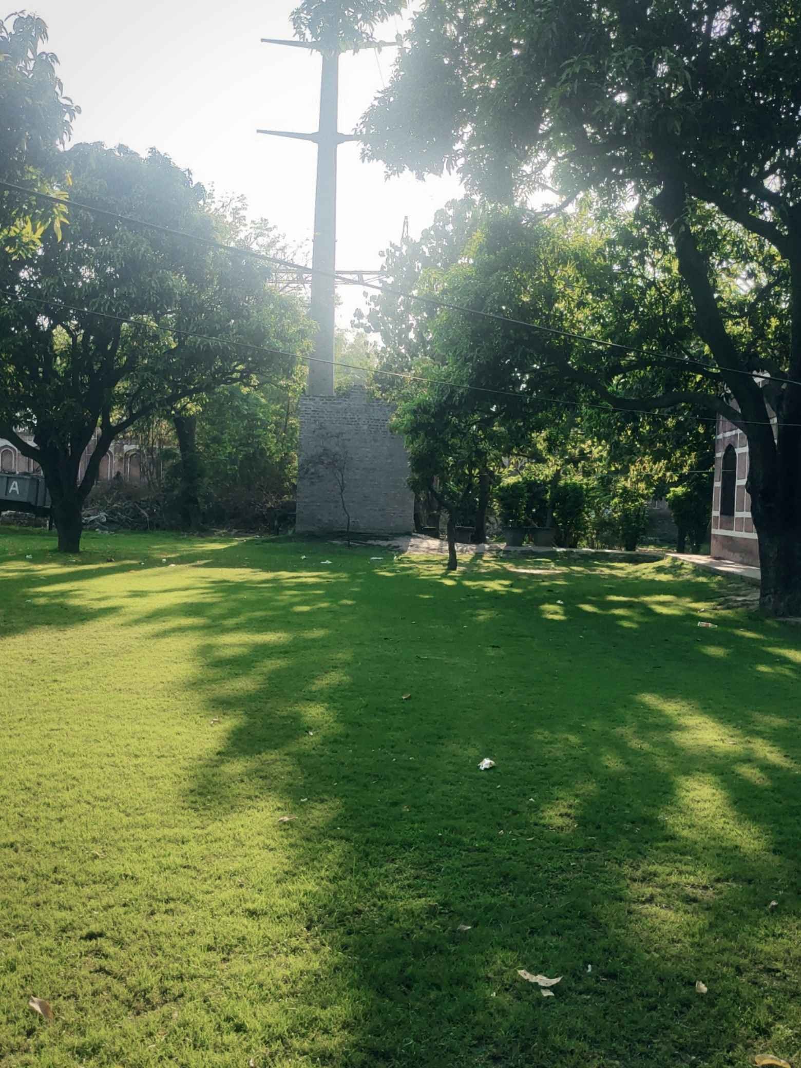 Sunlight and Shadows in the Garden