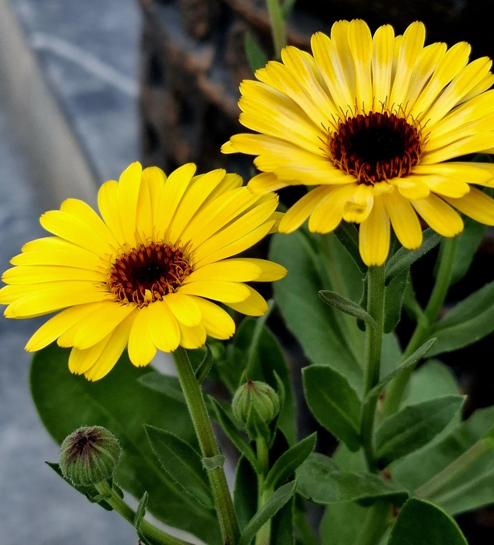 Bright colours